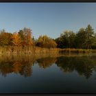 Herbstspiegelung