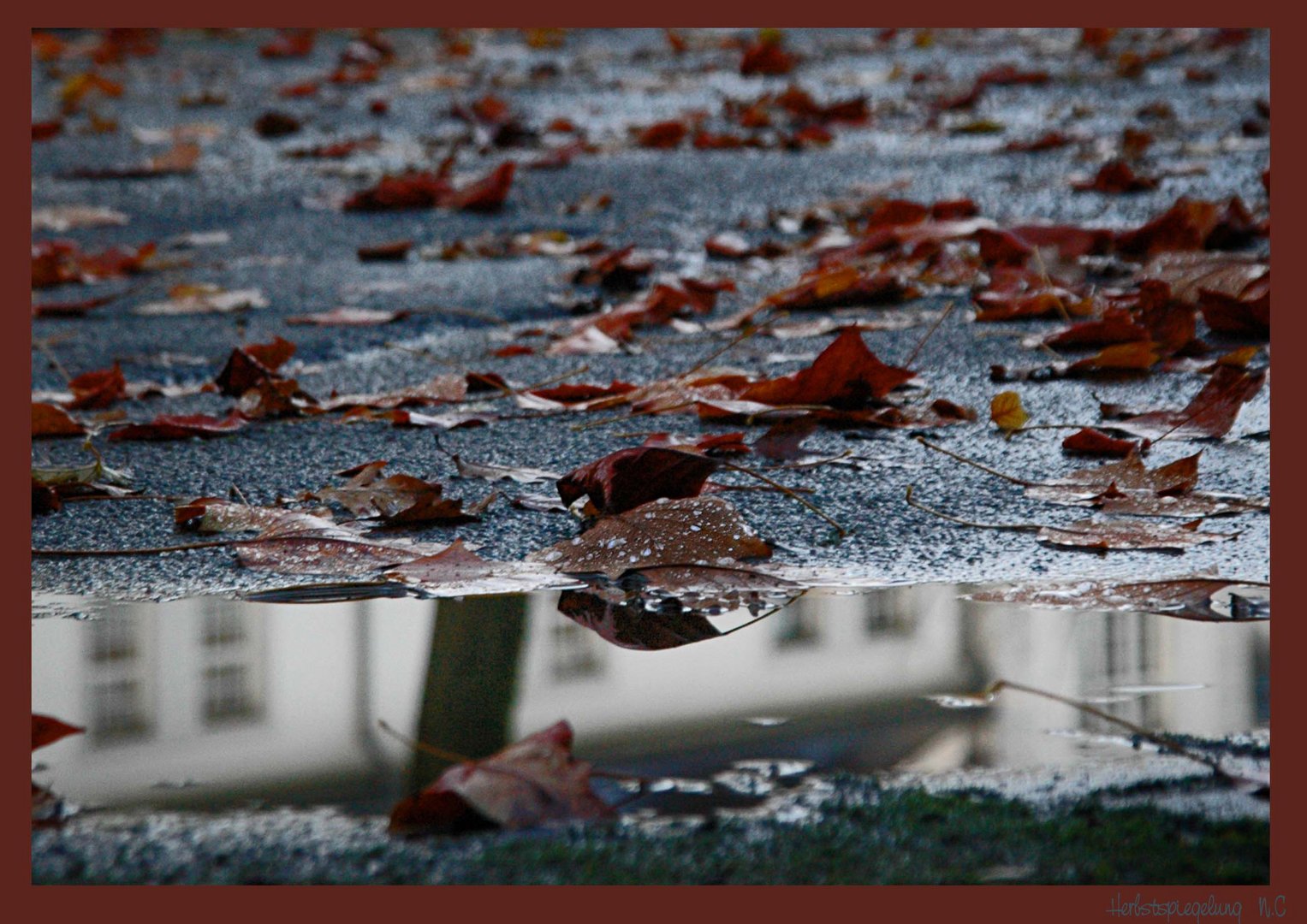 Herbstspiegelung