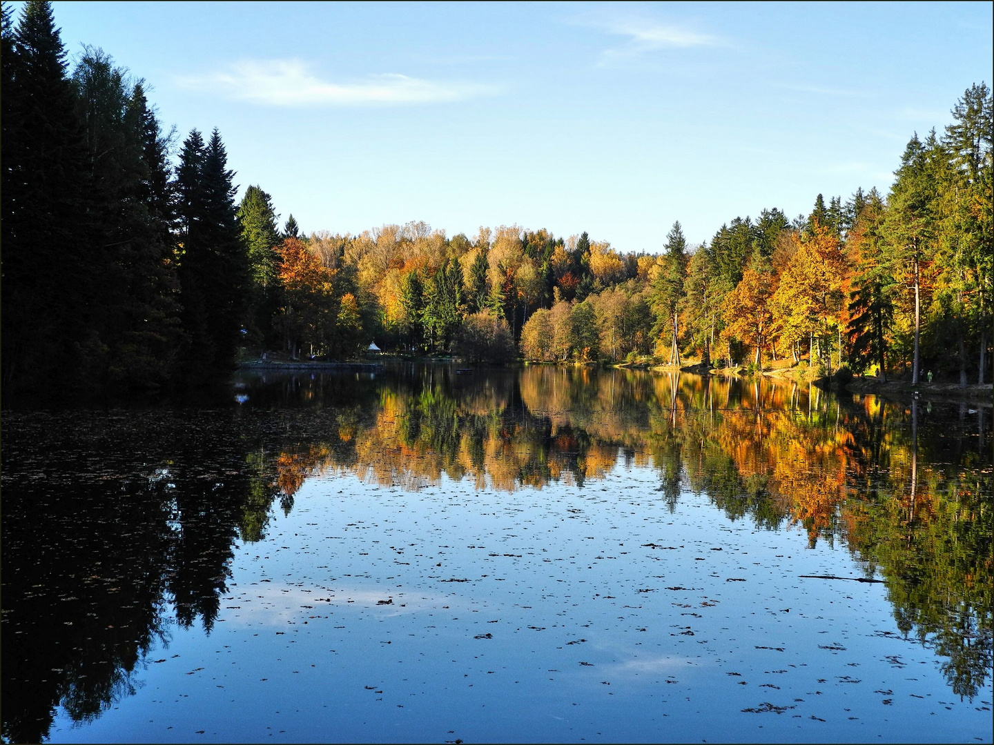 Herbstspiegelung