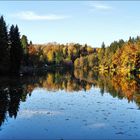 Herbstspiegelung