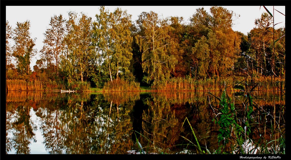 Herbstspiegelung