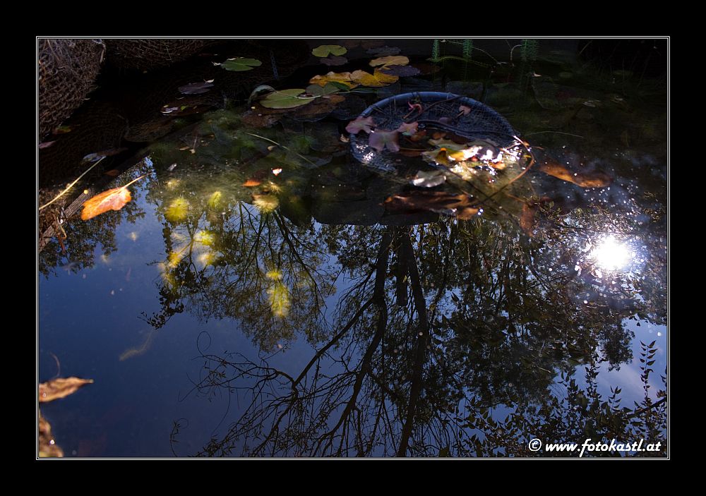 Herbstspiegelung