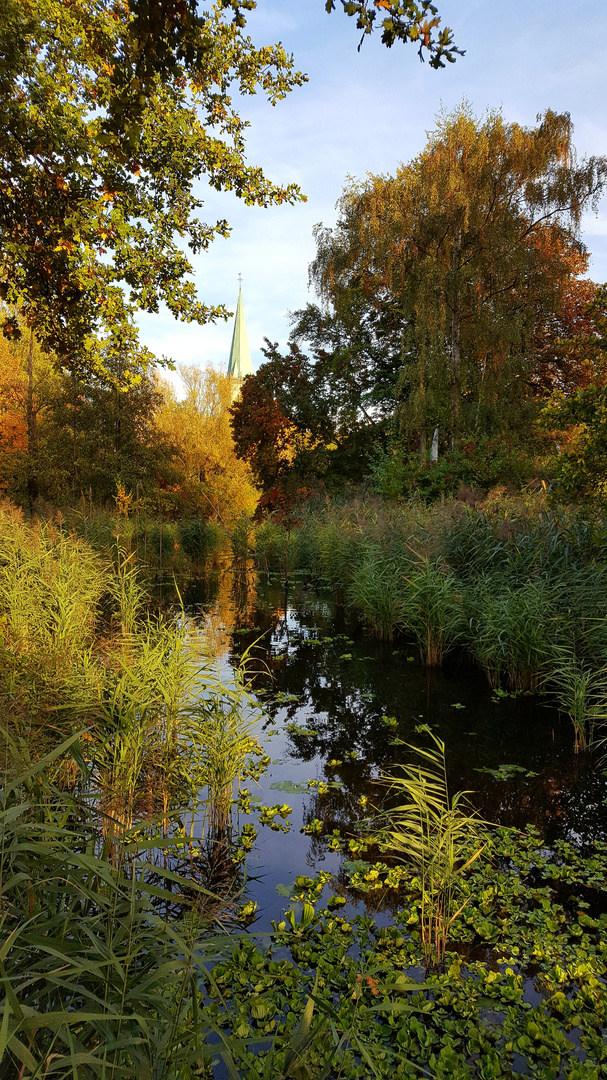 Herbstspiegelung 