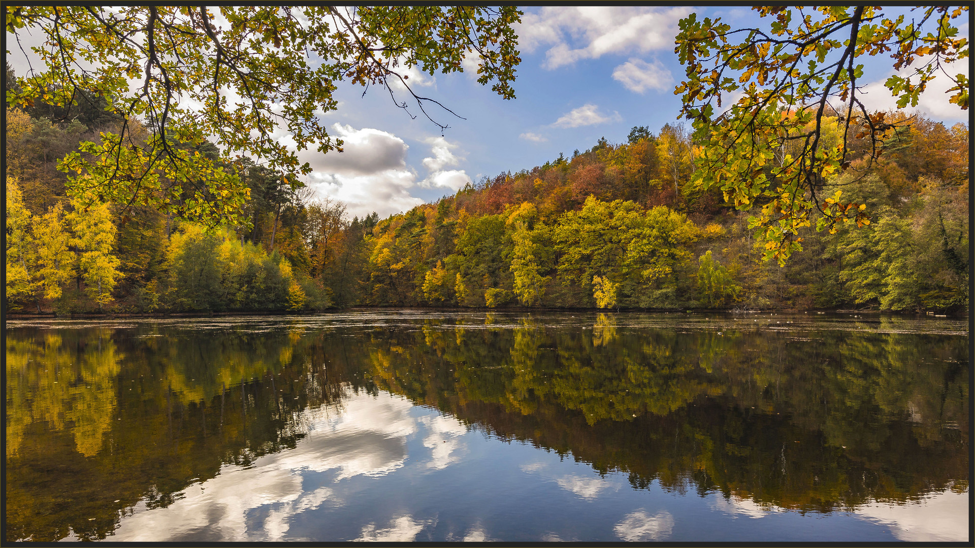 HERBSTSPIEGELUNG