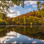 HERBSTSPIEGELUNG