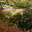 Herbstspiegelung