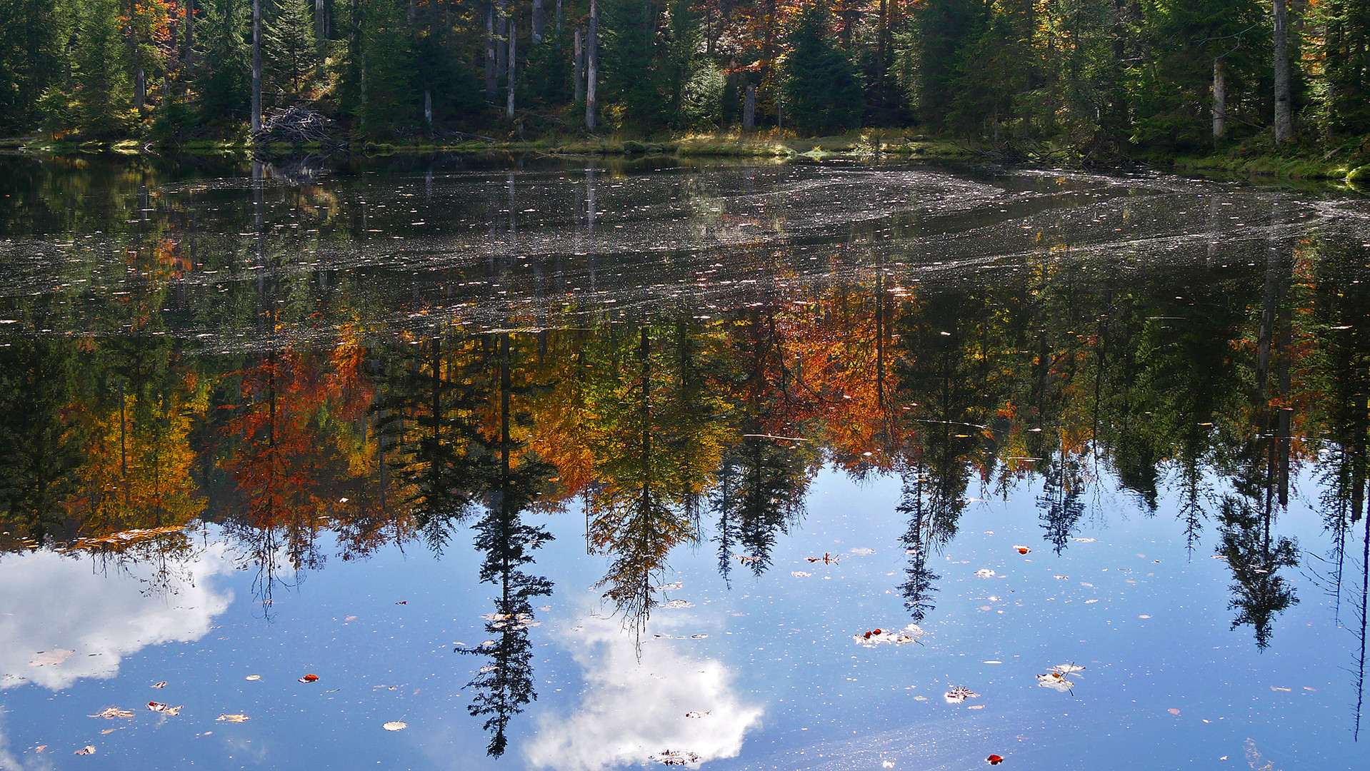 Herbstspiegelung