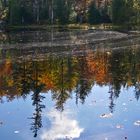 Herbstspiegelung