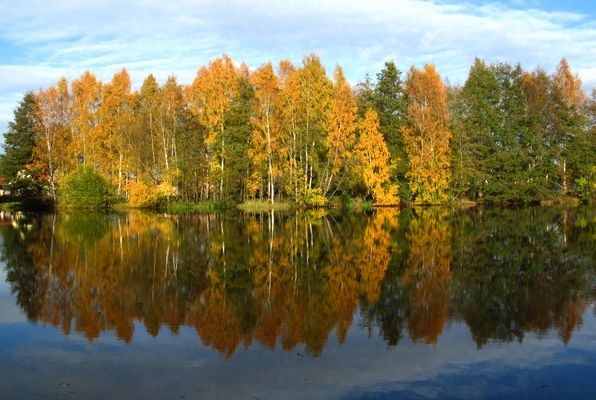 Herbstspiegelung