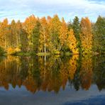 Herbstspiegelung