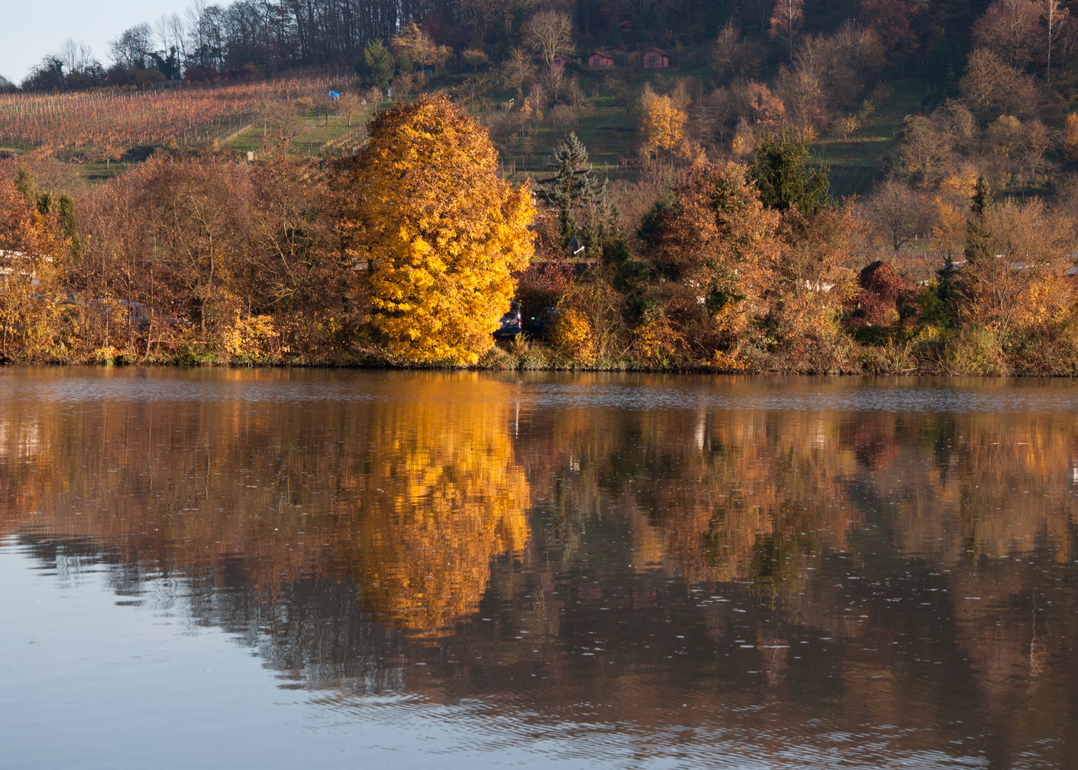 Herbstspiegelung