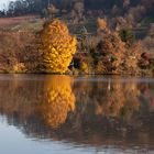 Herbstspiegelung