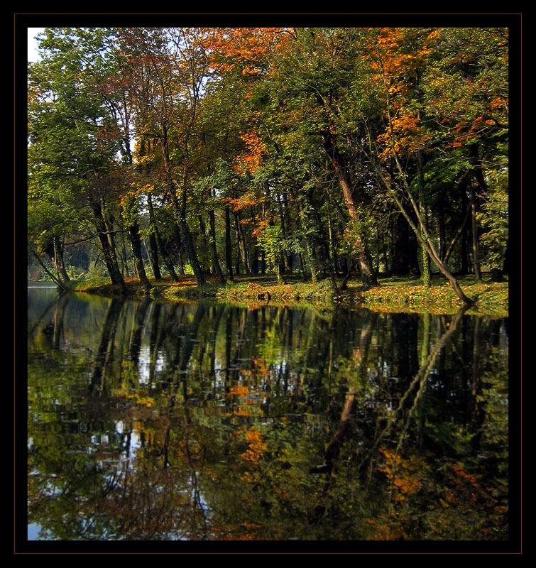 Herbstspiegelung