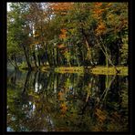 Herbstspiegelung