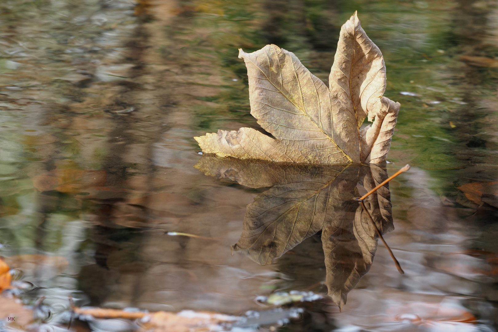 Herbstspiegelung