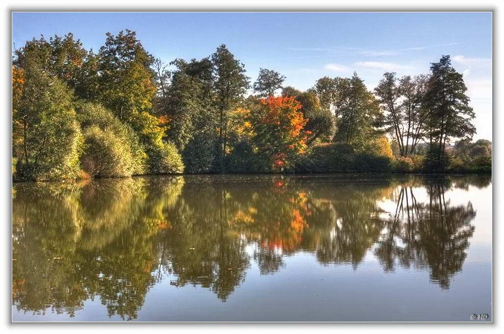 Herbstspiegelung