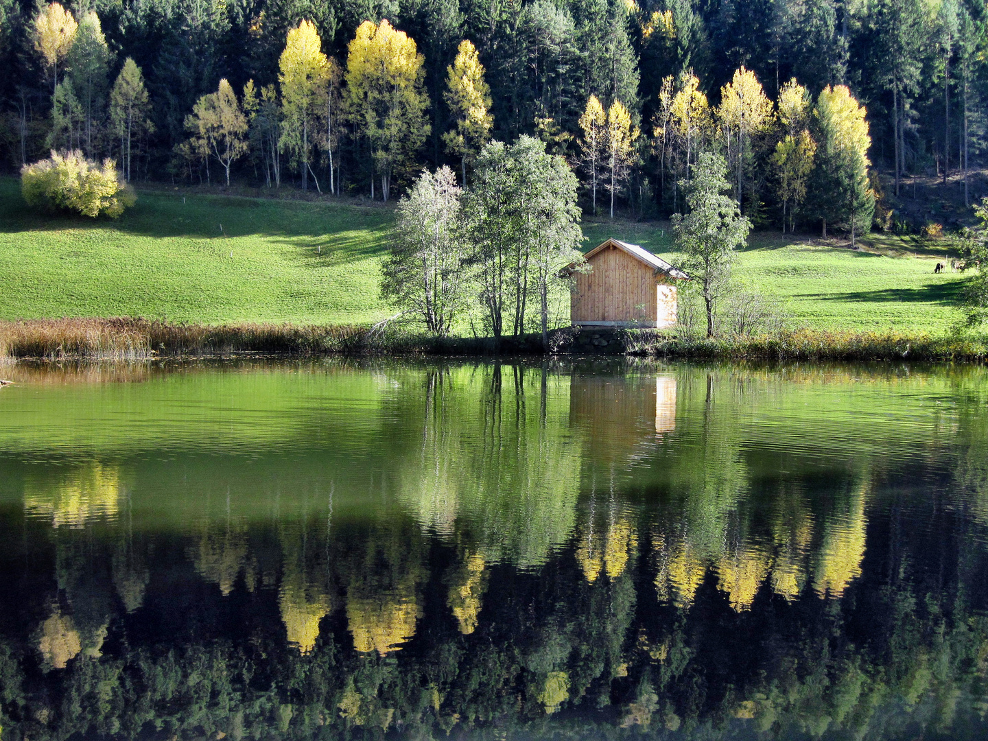 Herbstspiegelung