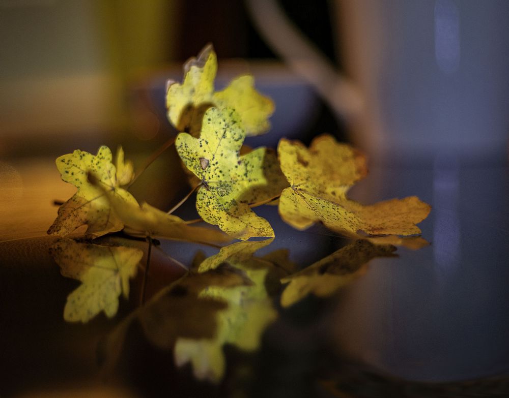 Herbstspiegelung