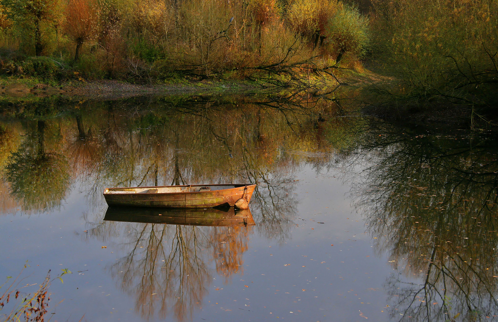 Herbstspiegelung