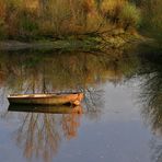 Herbstspiegelung