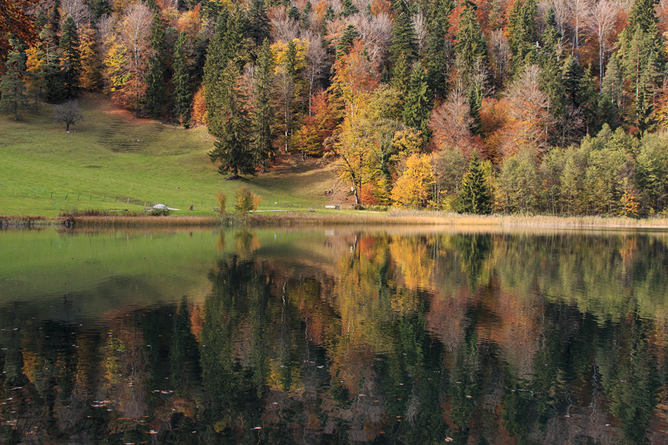 Herbstspiegelung