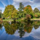 Herbstspiegelung