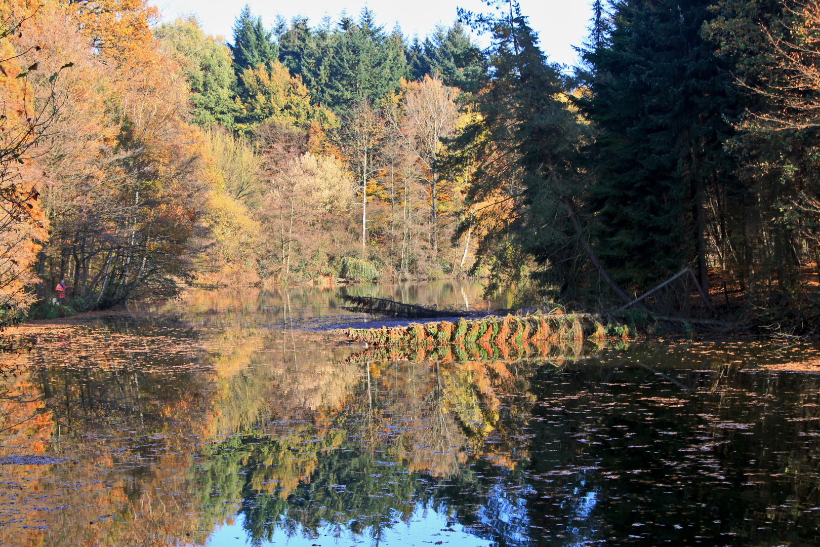 Herbstspiegelung