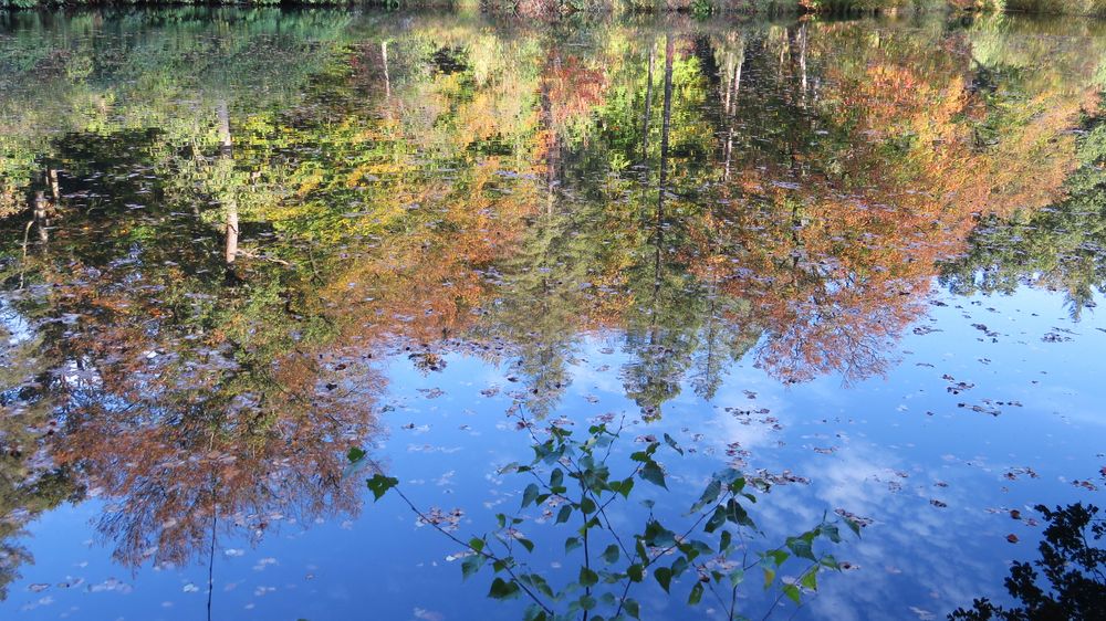 Herbstspiegelung