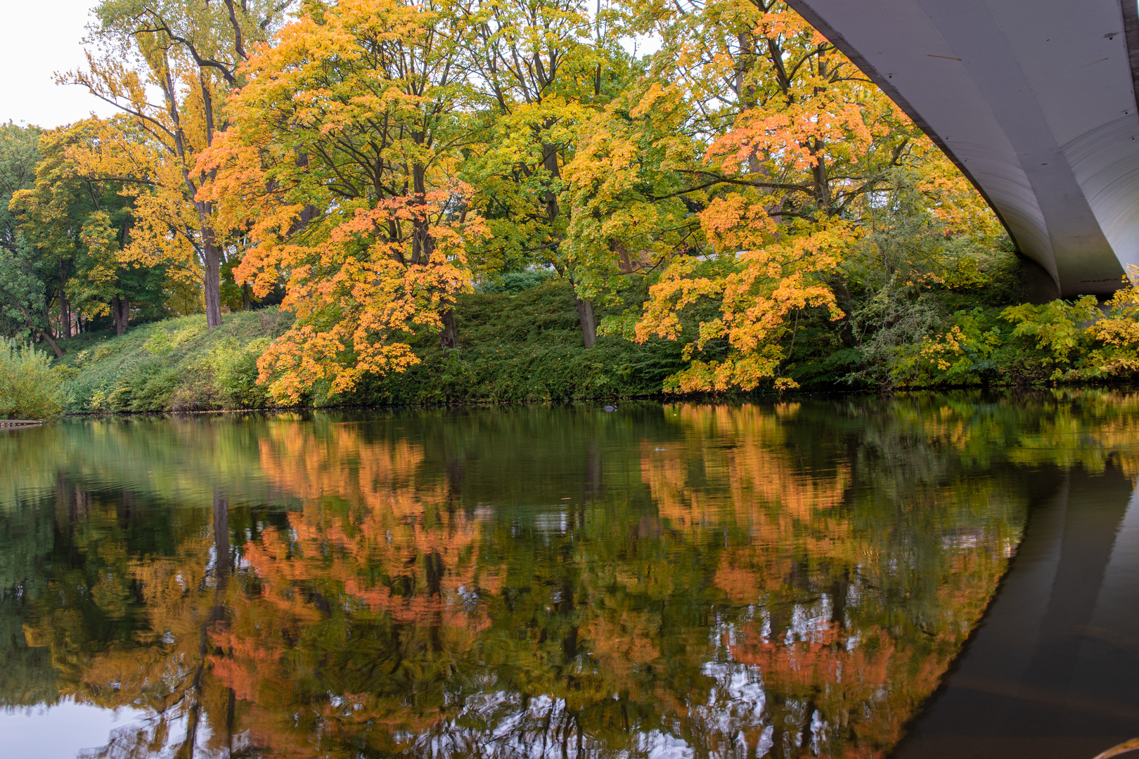 Herbstspiegelung