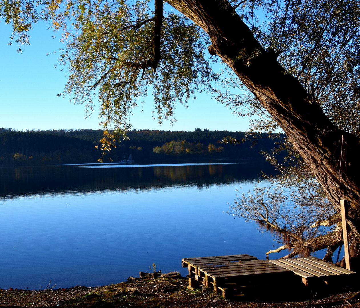 Herbstspiegelung 