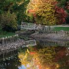 Herbstspiegelung