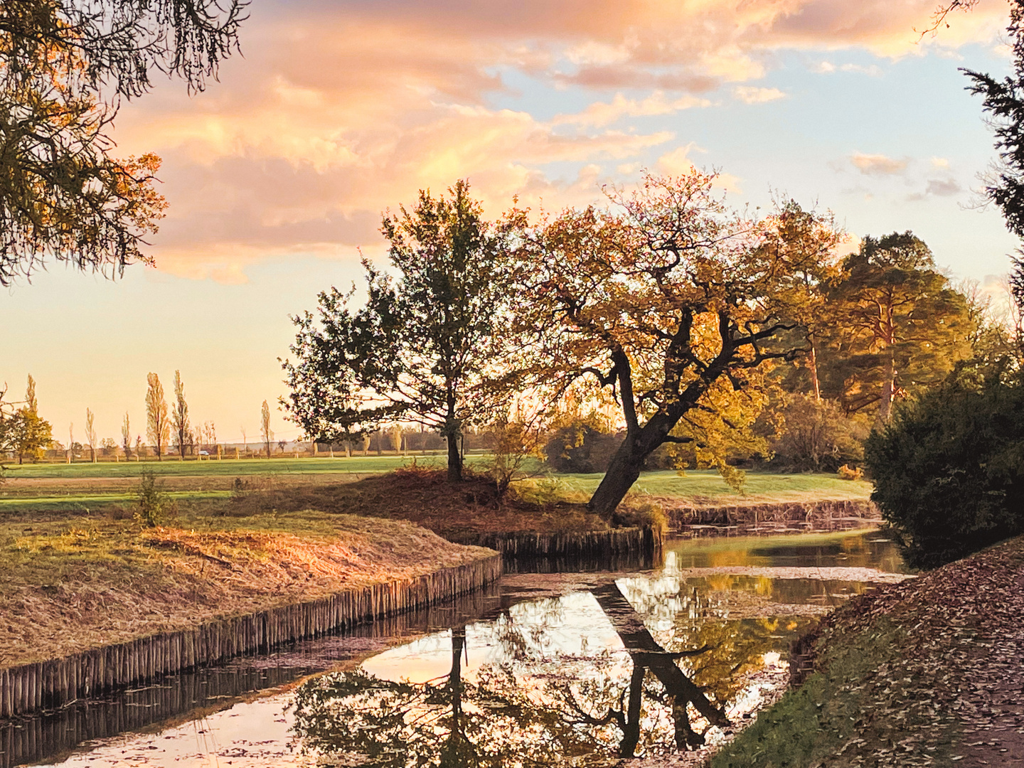 Herbstspiegelung