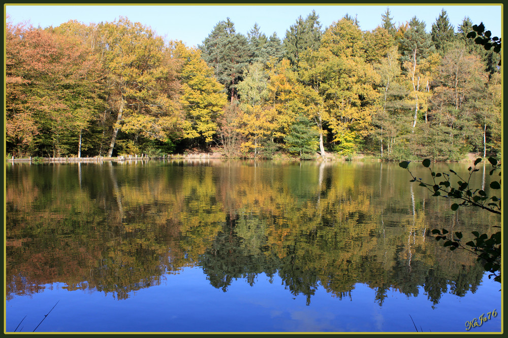 Herbstspiegelung