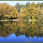 Herbstspiegelung