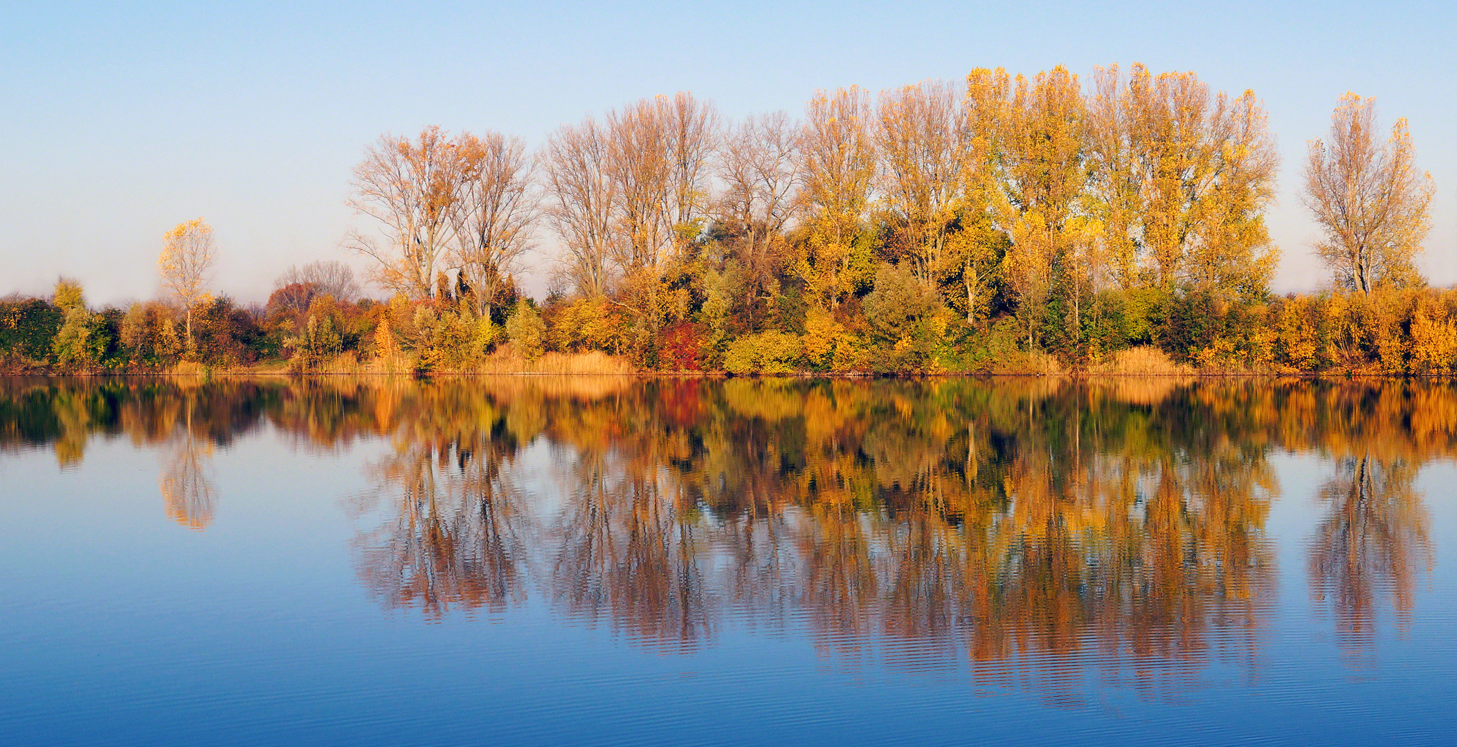 Herbstspiegelung