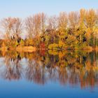 Herbstspiegelung