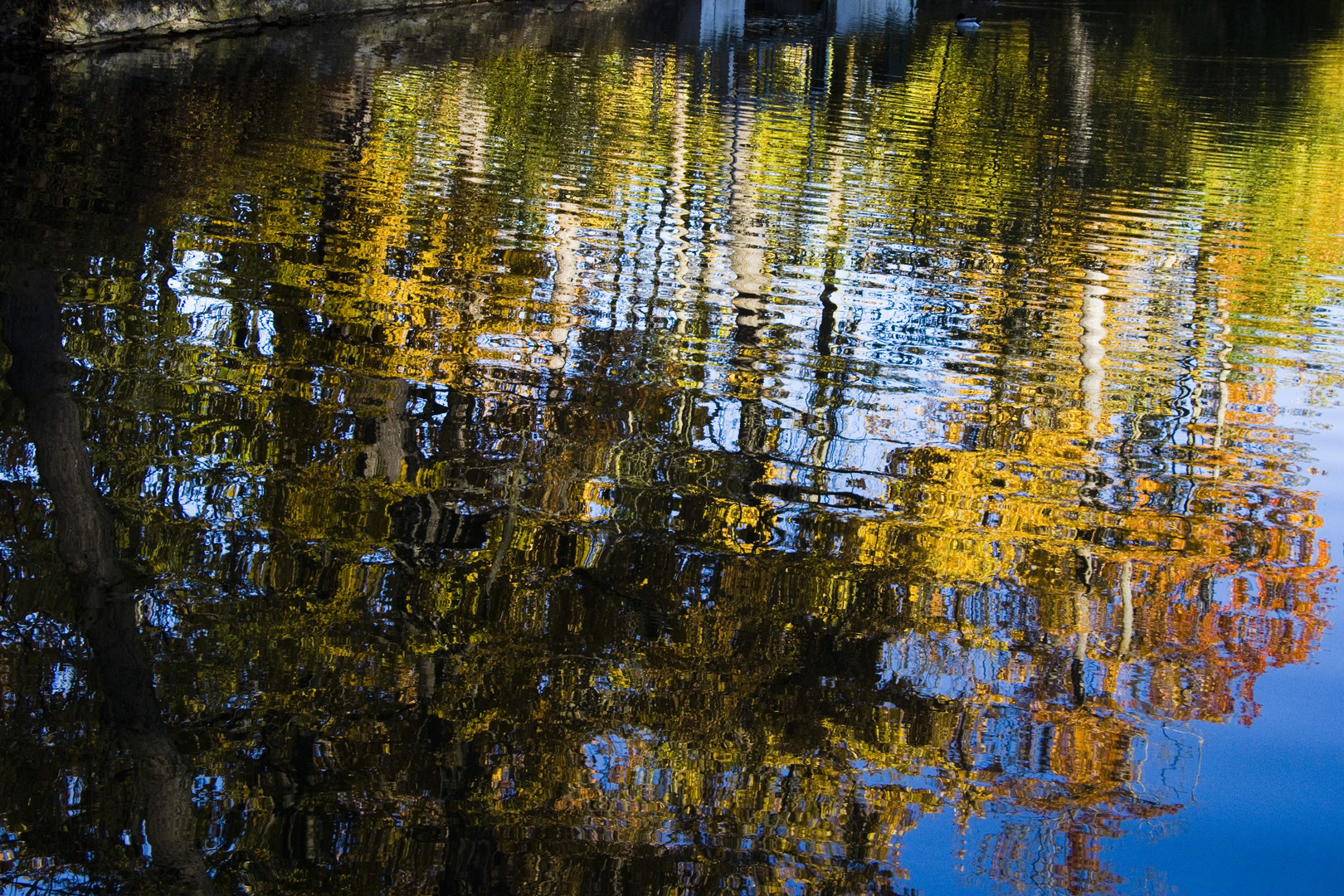 Herbstspiegelung