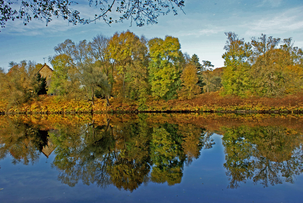 Herbstspiegelung