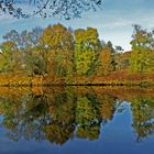 Herbstspiegelung