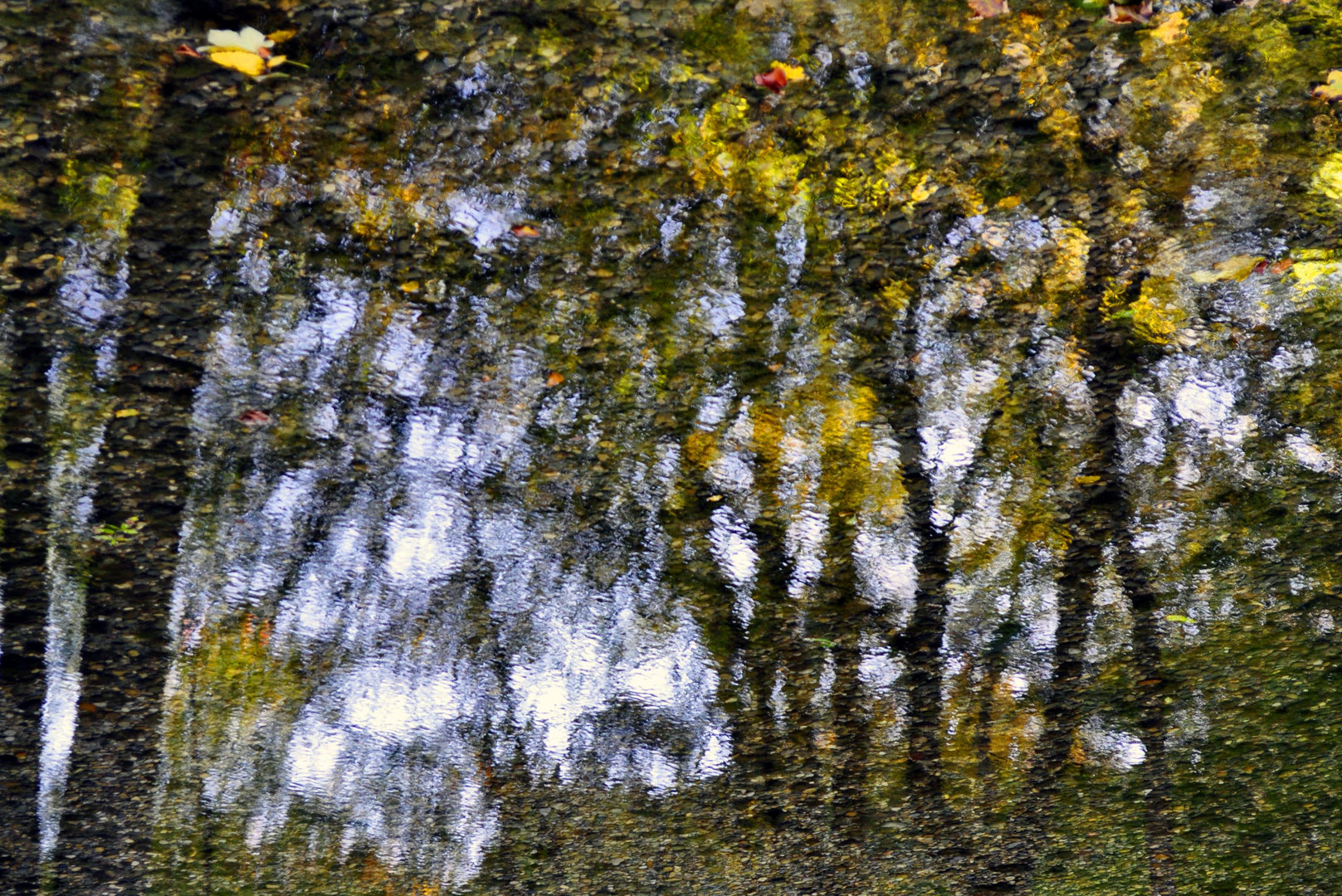 Herbstspiegelung