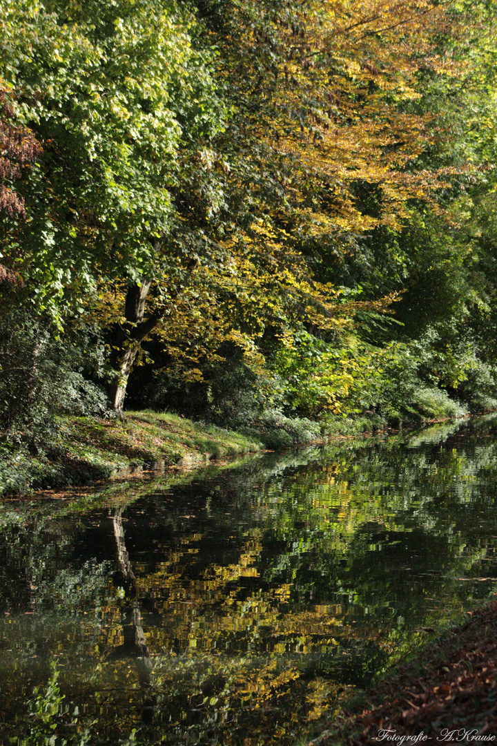 Herbstspiegelung