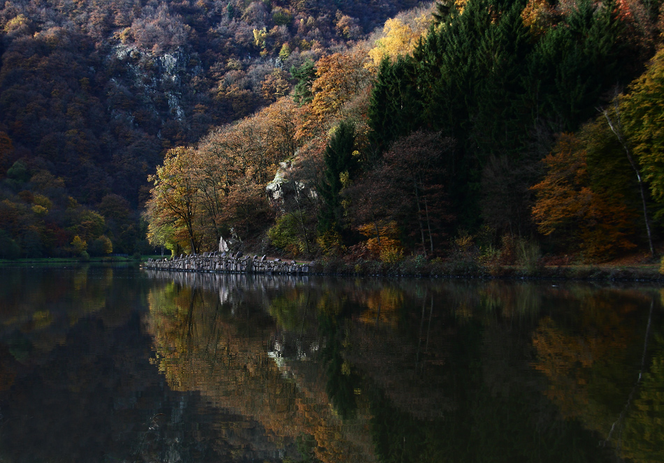 Herbstspiegelung