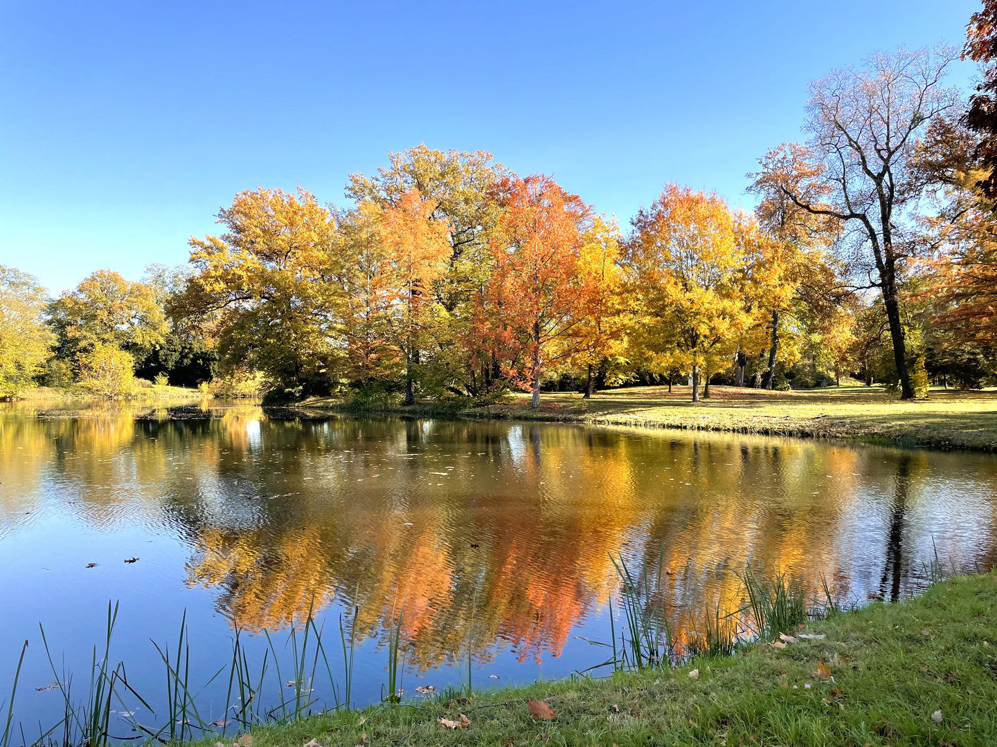 Herbstspiegelung