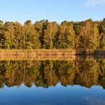 Herbstspiegelung am Vogelwoog ( Kaiserslautern), Natzurschutzgebiet