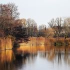 Herbstspiegelung an der Havel