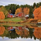 Herbstspiegelung 