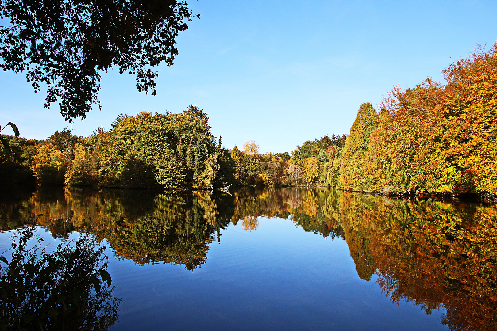 Herbstspiegelung