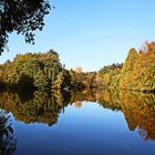 Herbstspiegelung