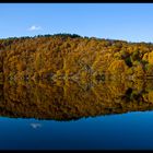 ~Herbstspiegelung~