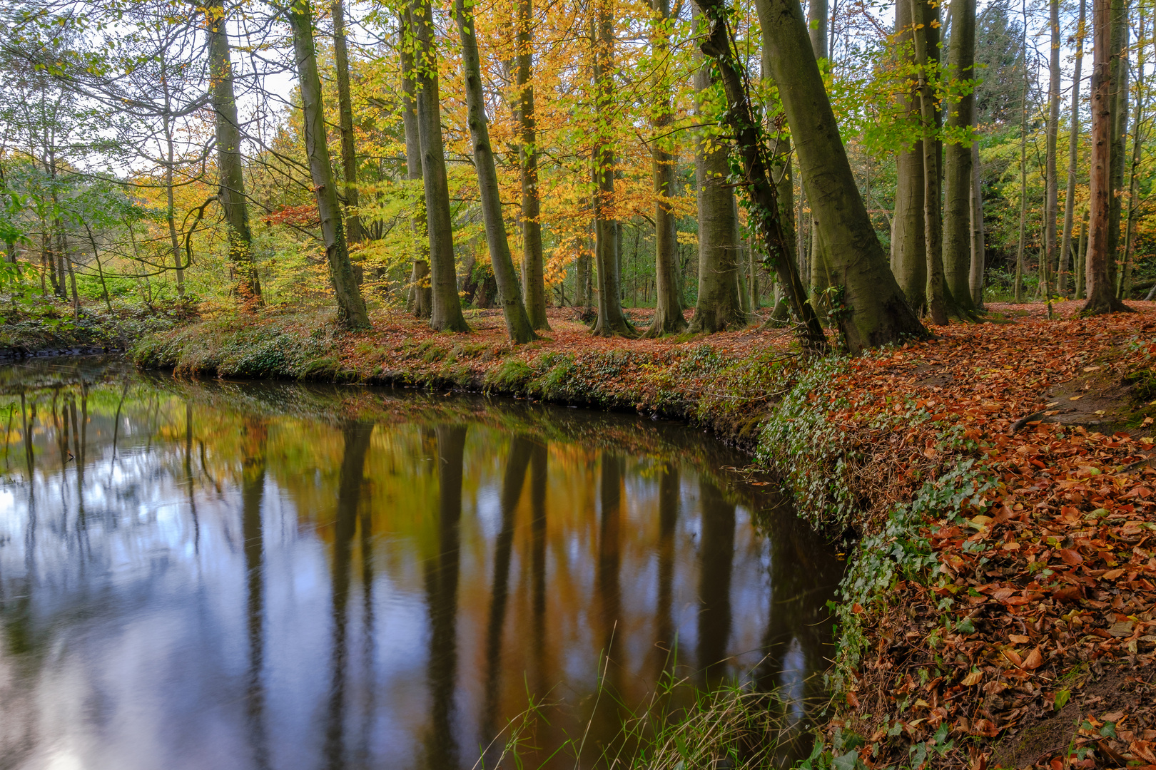 Herbstspiegelung